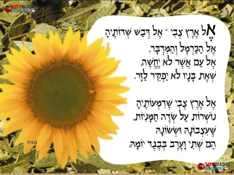 [129]אל ארץ הצבי