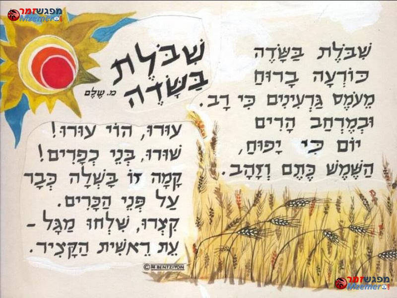 [1717]שבולת בשדה