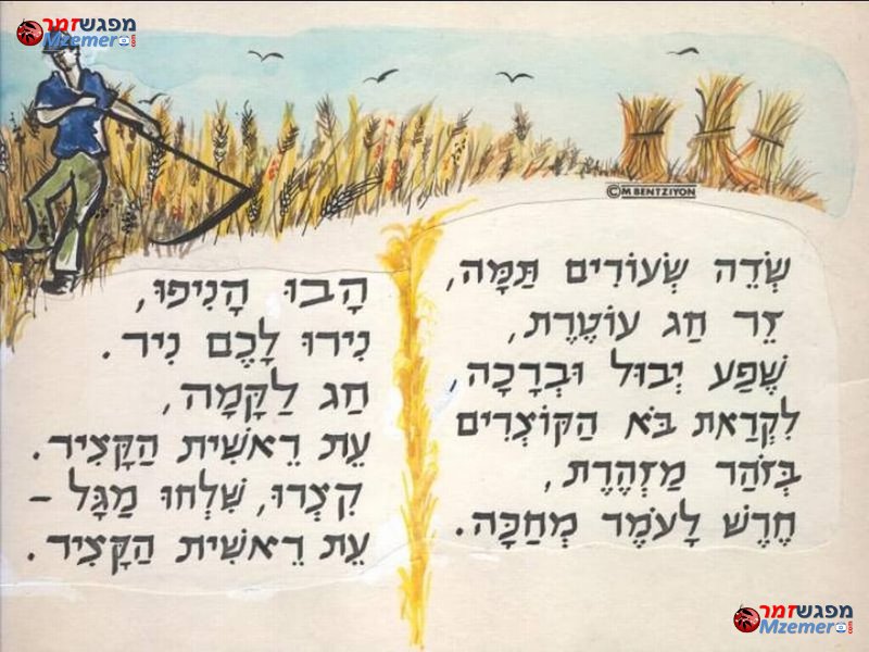 [1717]שבולת בשדה